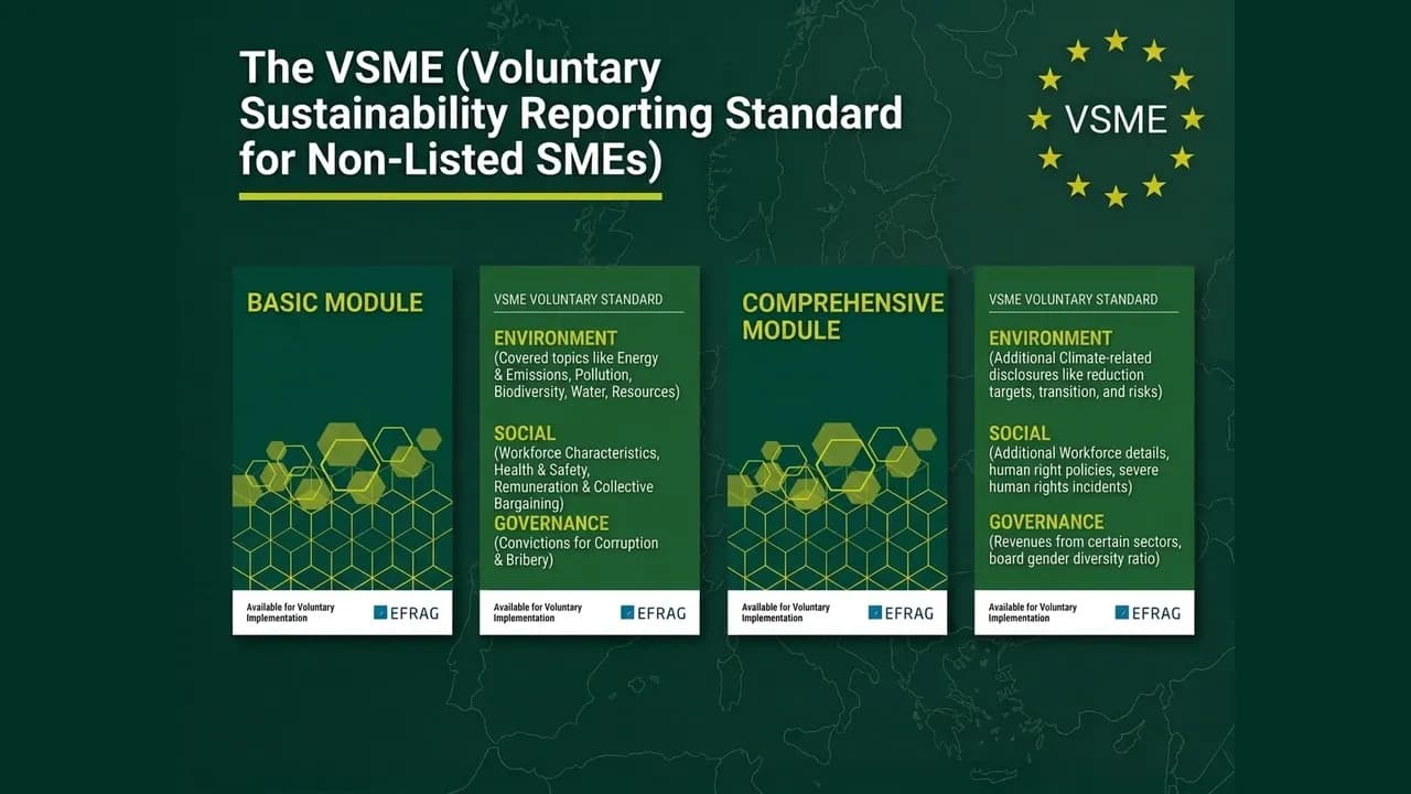Grafika z naslovom "The VSME" in štirimi naslovnicami, ki prikazujejo osnovni (Basic) in razširjeni (Comprehensive) modul standarda ter njune okoljske, socialne in upravljavske vsebine
